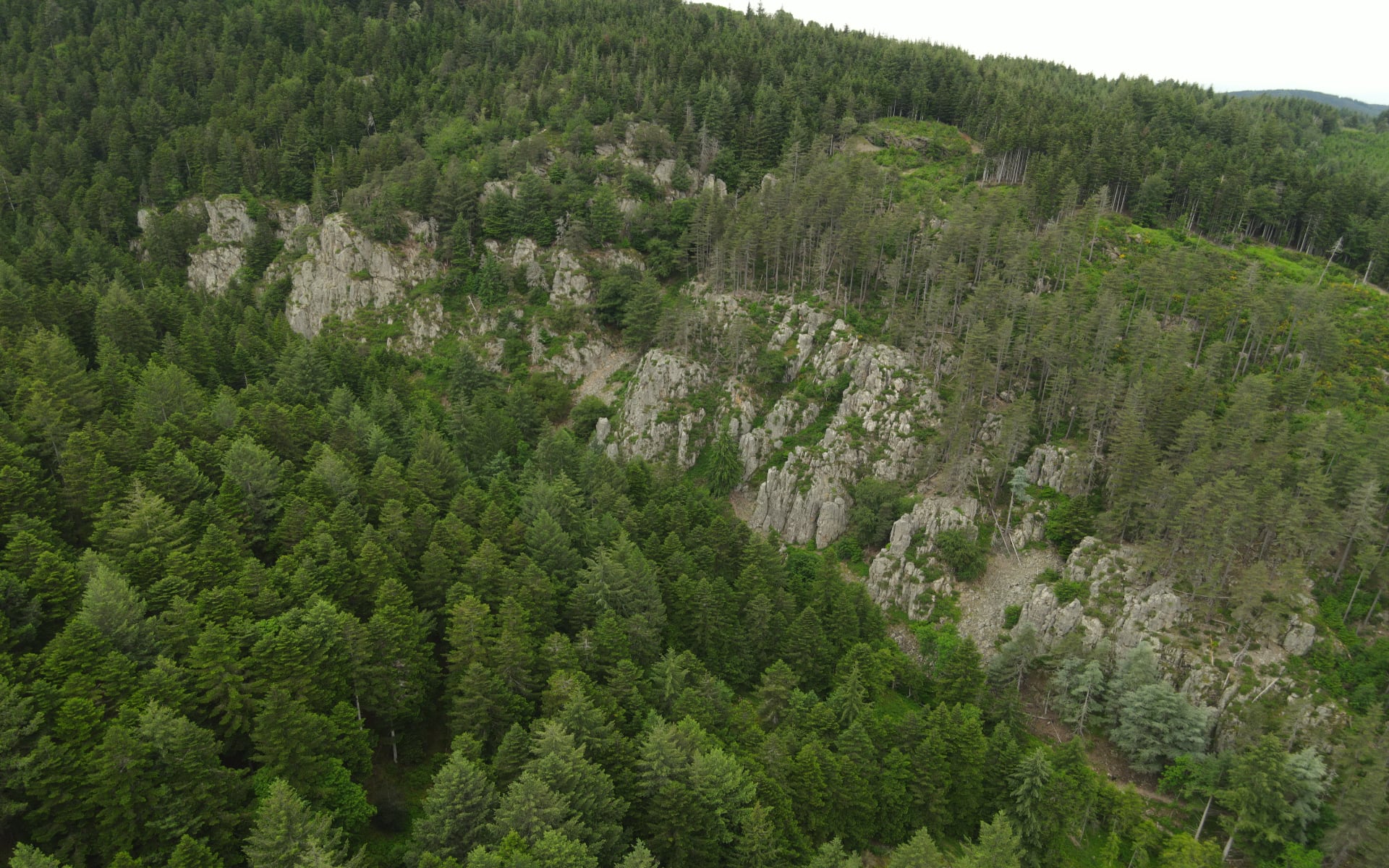 VALLON DE LA SORDIÈRE